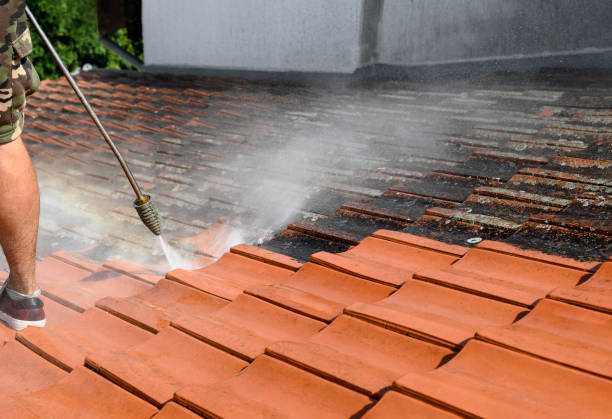 Best Pressure Washing Near Me  in Bellbrook, OH